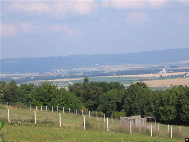Troubelice 2006 095.jpg